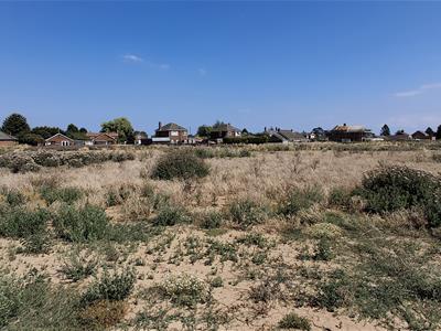 Picture 27